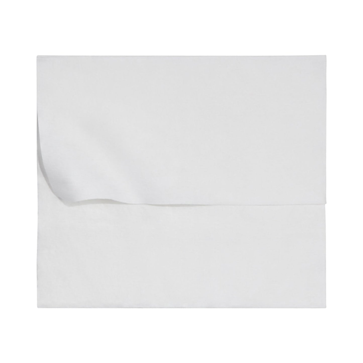 McKesson Flushable* Wet Wipes XL - Unscented, 48 Wipes per Pack DXLU48