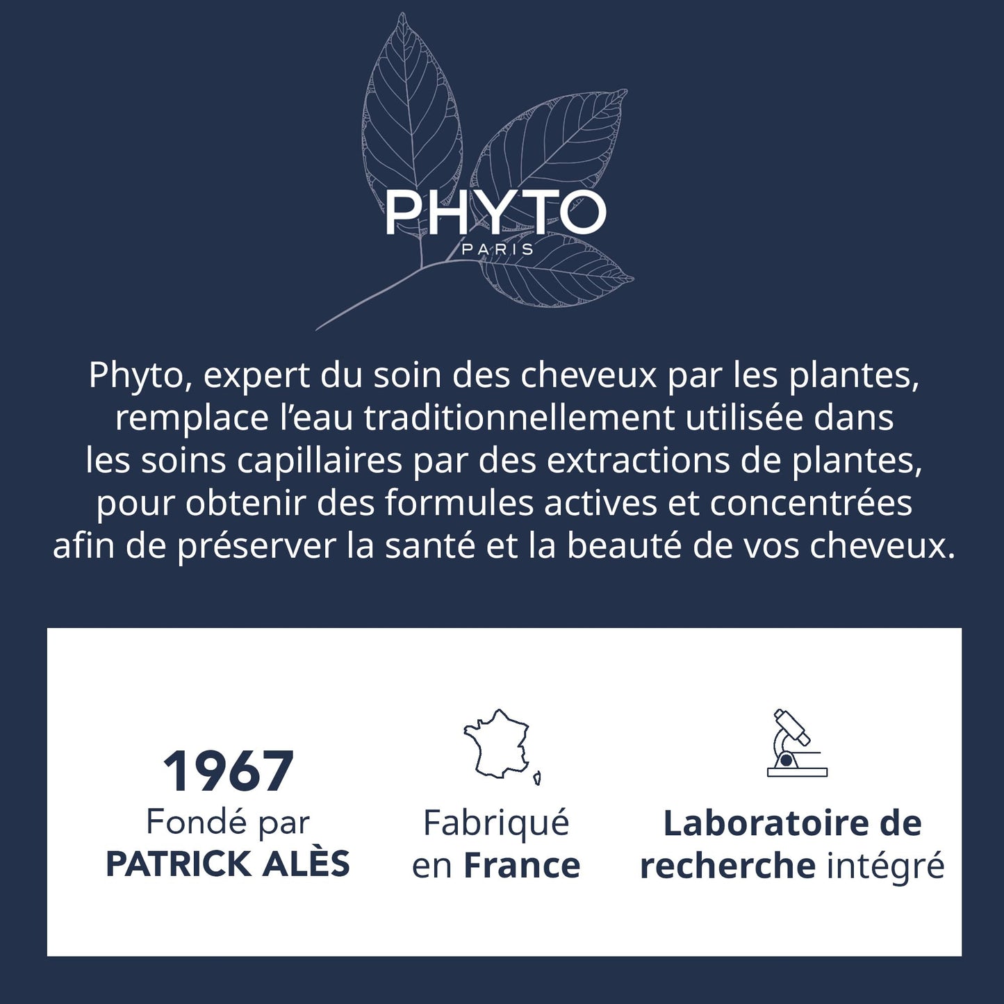 Phyto Volumizing Conditioner - Sulfate-Free, Silicone-Free, Vegan Hair Care for Fine Hair
