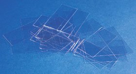 Erie Scientific Erie Scientific Cover Glass, 22 x 22 mm 22X22-1.5-001G, Box of 10