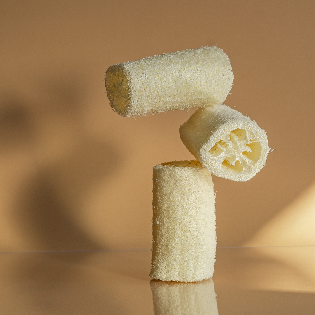 Natural Loofah Sponge